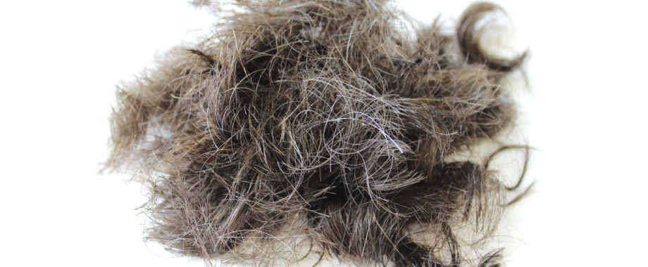 Pile of hair on the floor